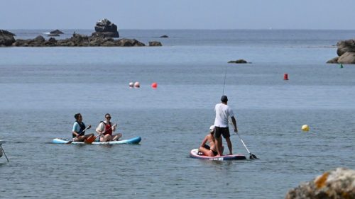 Paddle