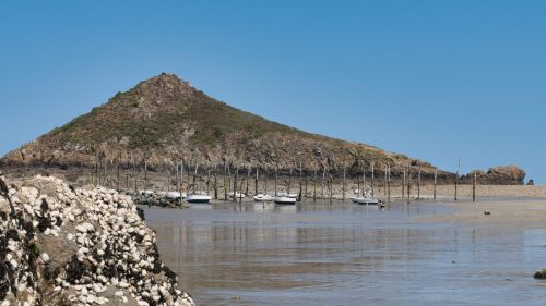 Plouha - port de Gwin Zégal 06